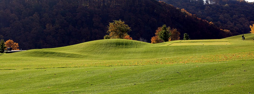 Golf Course Greenery - Easton, PA - Riverview Country Club